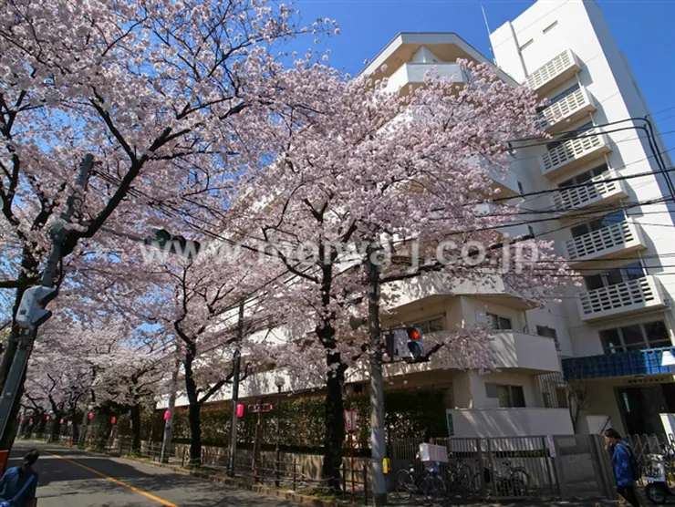 府中マンションの写真2