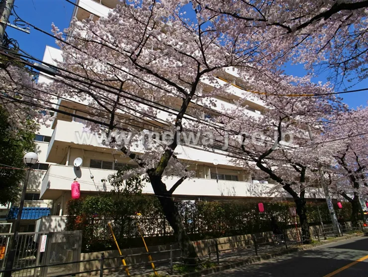 府中マンションの写真3
