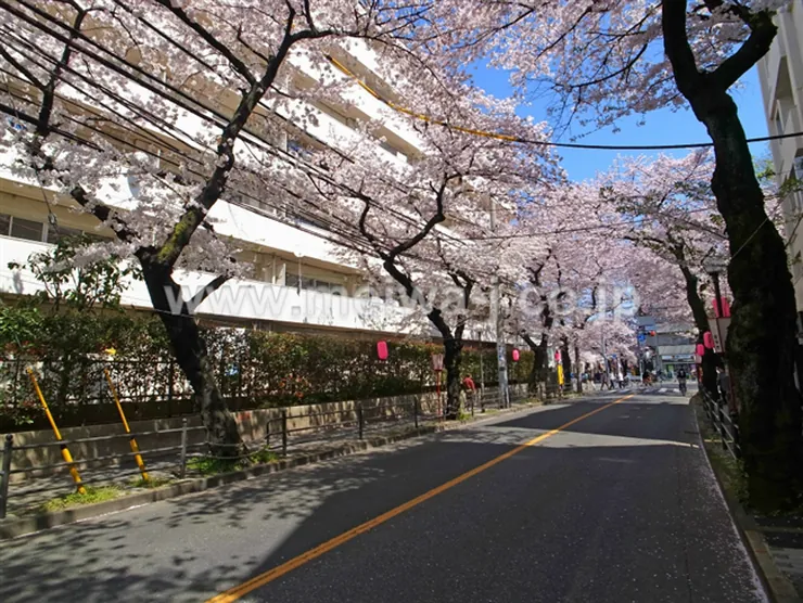 府中マンションの写真5