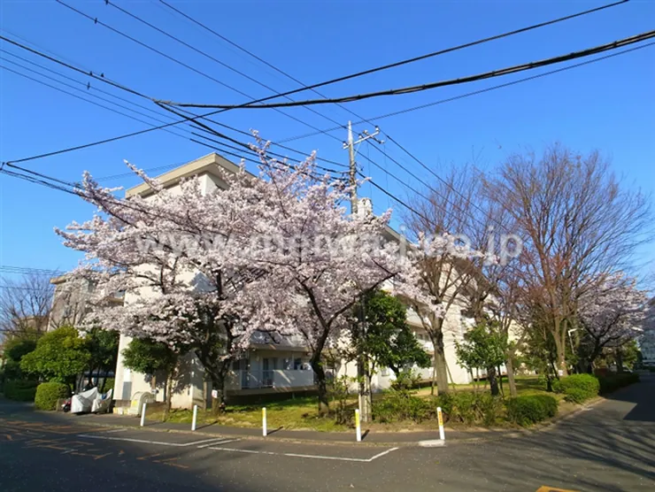 車返団地1街区（T2-2359）の写真3