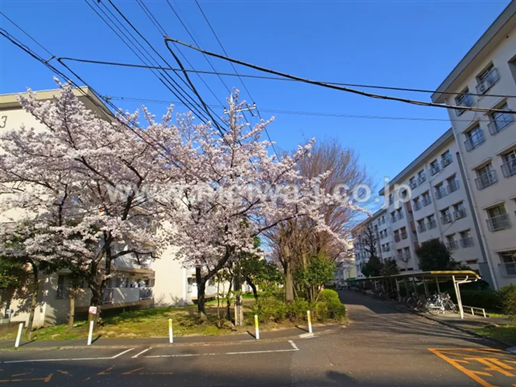 車返団地1街区（T2-2359）の写真5