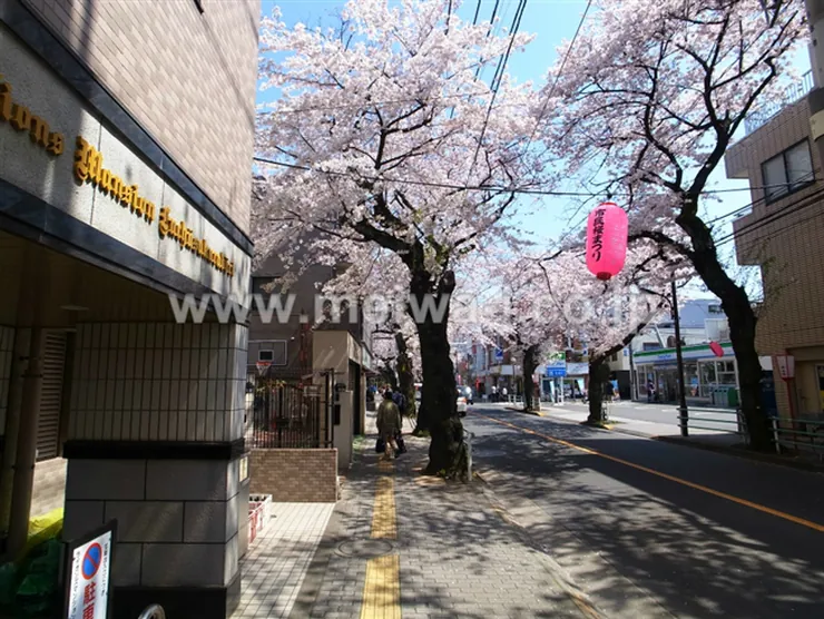 ライオンズマンション府中桜通りの写真4