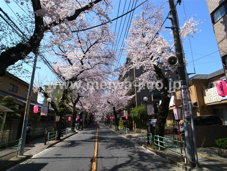 ライオンズマンション府中桜通りの写真5
