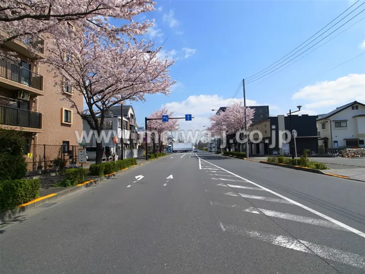 ライオンズマンション府中是政の写真5