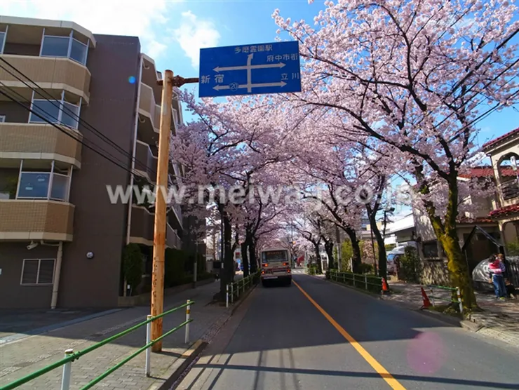 ミオカステーロ府中白糸台の写真4