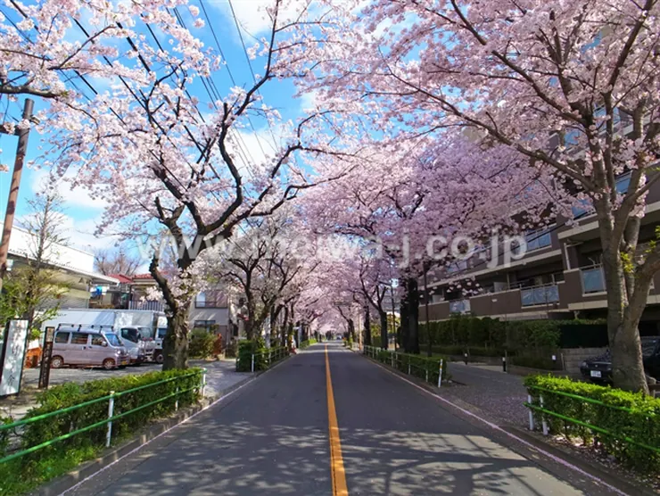 ミオカステーロ府中白糸台の写真5