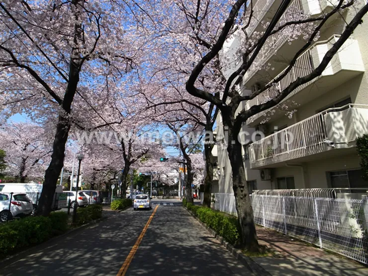 パークハイム府中の写真5