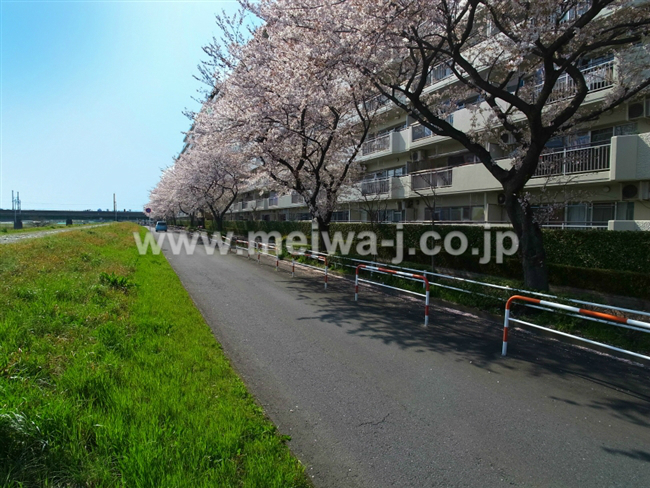 M-41576府中多摩川通り住宅現地4