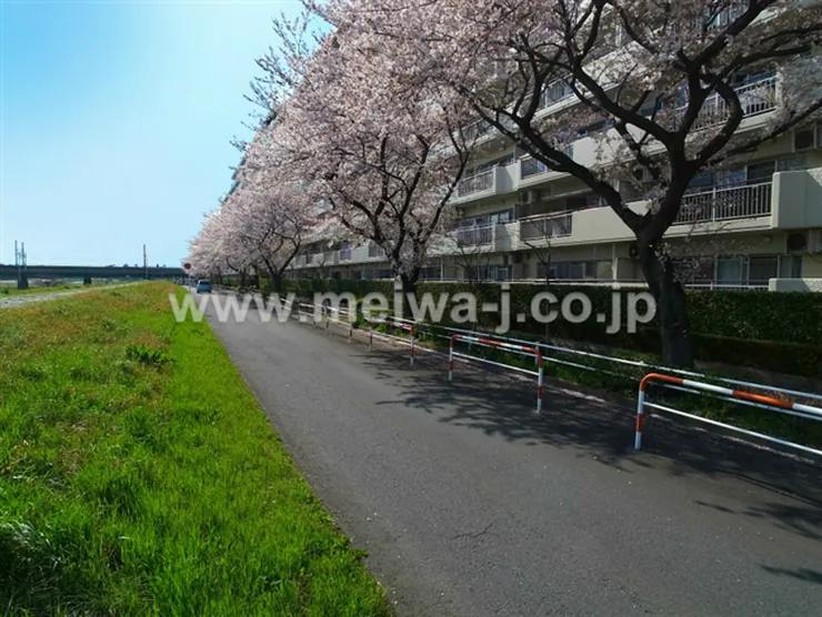府中多摩川通り住宅の写真4