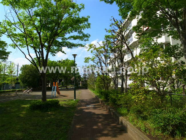 M-41576府中多摩川通り住宅写真5