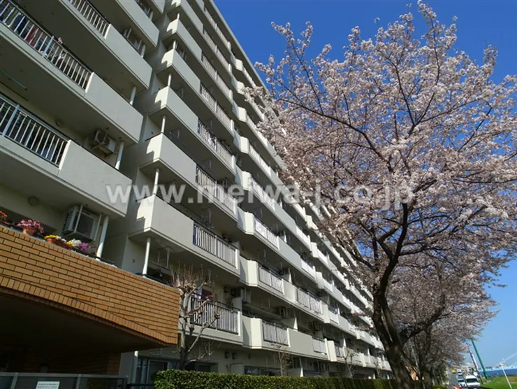 府中多摩川通り住宅2号棟（M-50094）の写真4