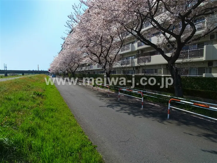 府中多摩川通り住宅2号棟（M-50094）の写真5