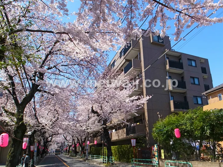 ガーデンハイツ府中桜通りの外観写真