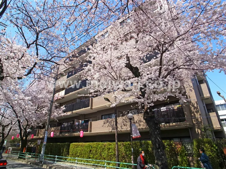 ガーデンハイツ府中桜通りの写真3