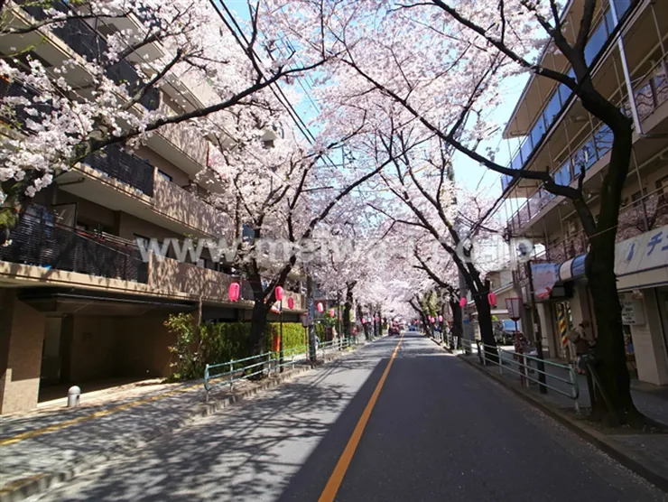 ガーデンハイツ府中桜通りの写真5