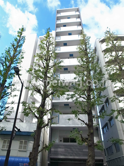 サンクレイドル東府中現地