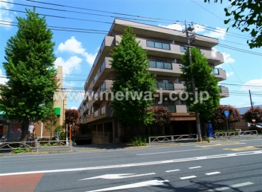 グレイスコート東府中画像
