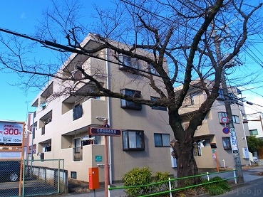 アベニュー邑乃Ⅱ外観