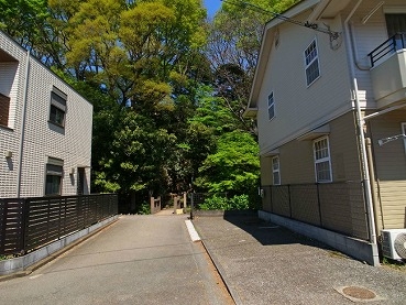 コスモコープ写真