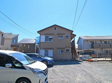 コスモス３１画像