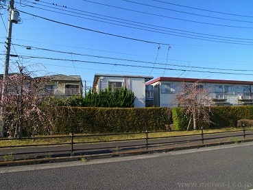 ハイツプリマベーラの画像