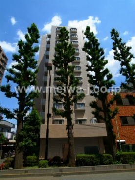 ローゼンハイム(若松町2)画像