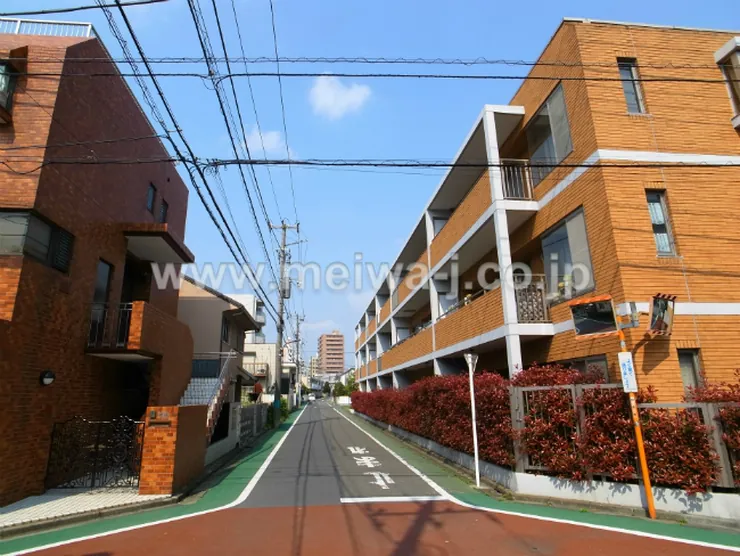 アイビスホクセイの写真5