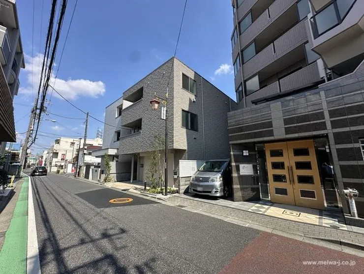 ピーノ（T1-5443）の写真5