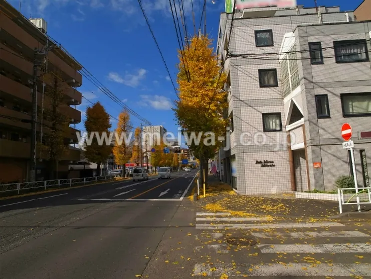 ベルメゾン緑町の写真4