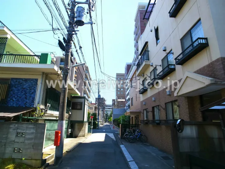 ブルーミングフチュウの写真5