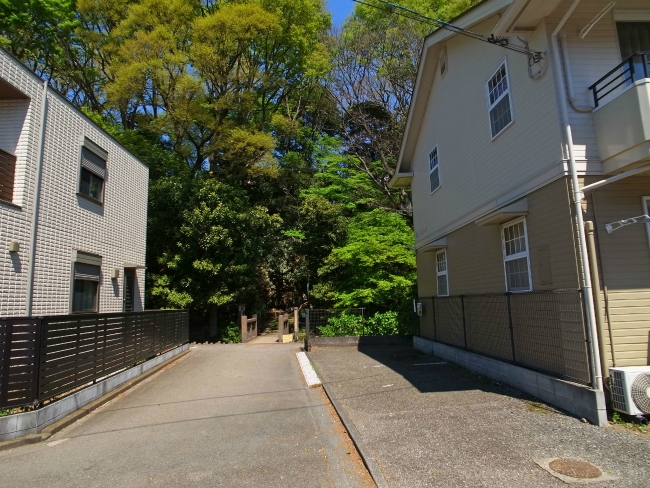 コスモコープ写真