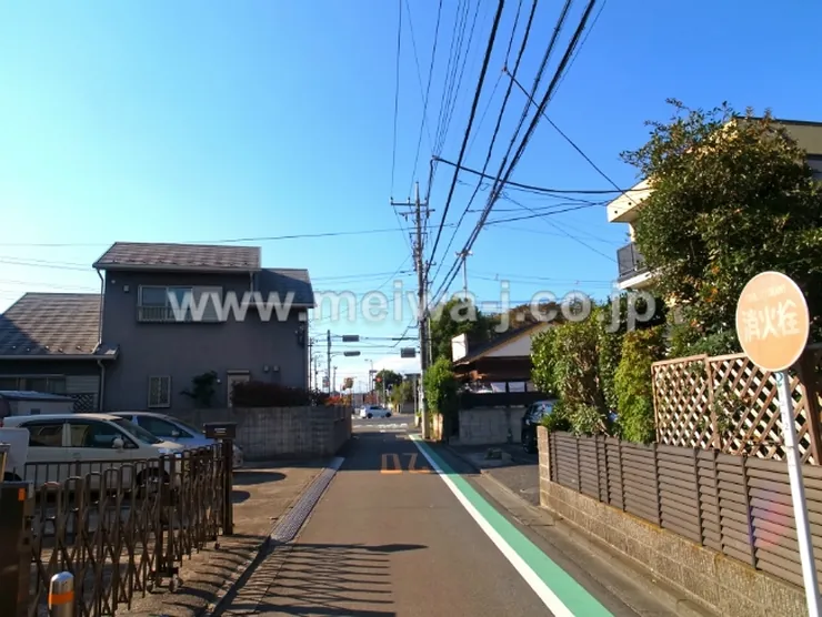 コスモス(本宿町2)の写真5