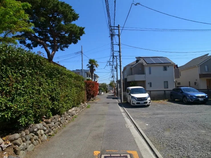 コスモス31の写真4