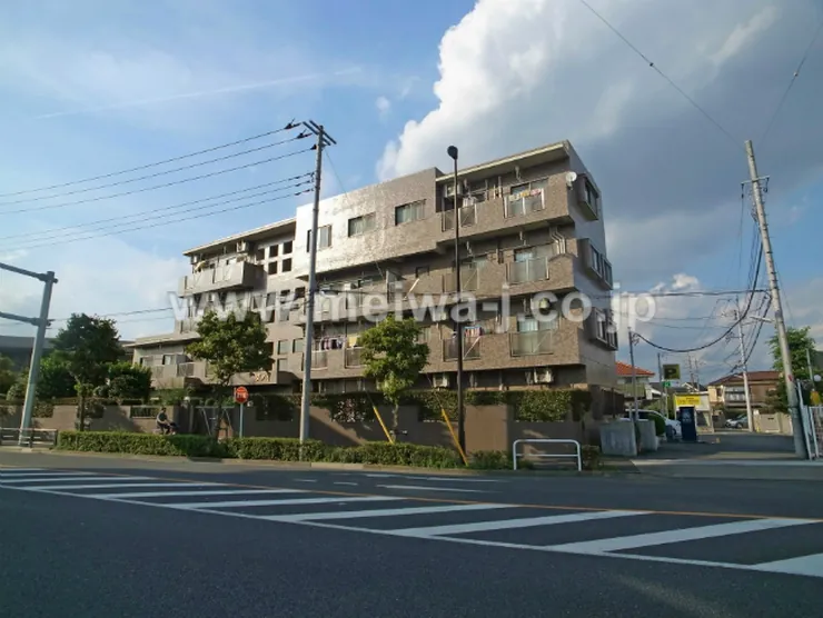 ダノイの写真3
