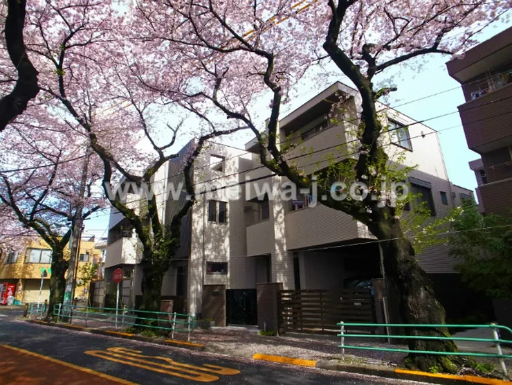 府中桜通りメゾンの外観写真