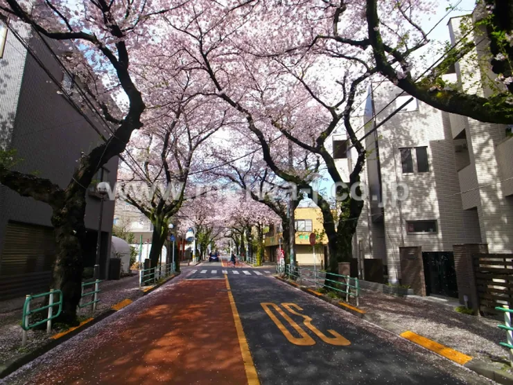 府中桜通りメゾンの写真5