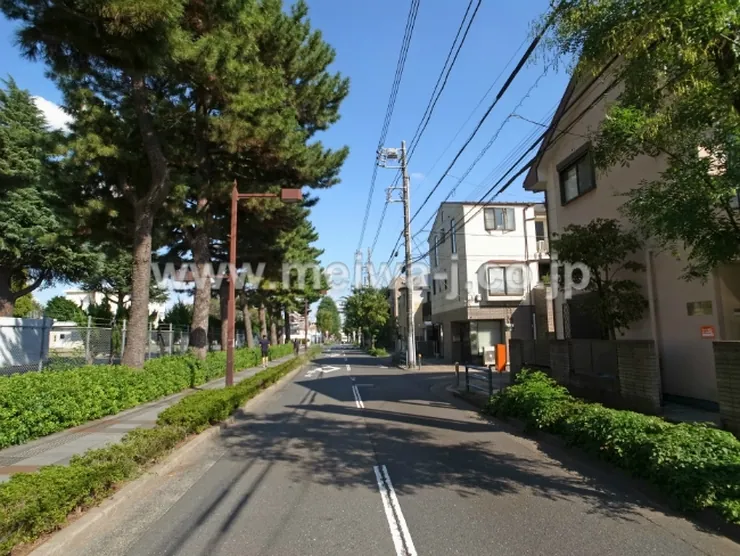 グランドソレイユ(若松町2)（T1-5486）の写真5
