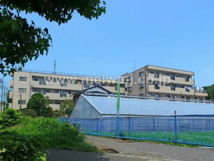 グリーンパレス府中(若松町4)の写真5