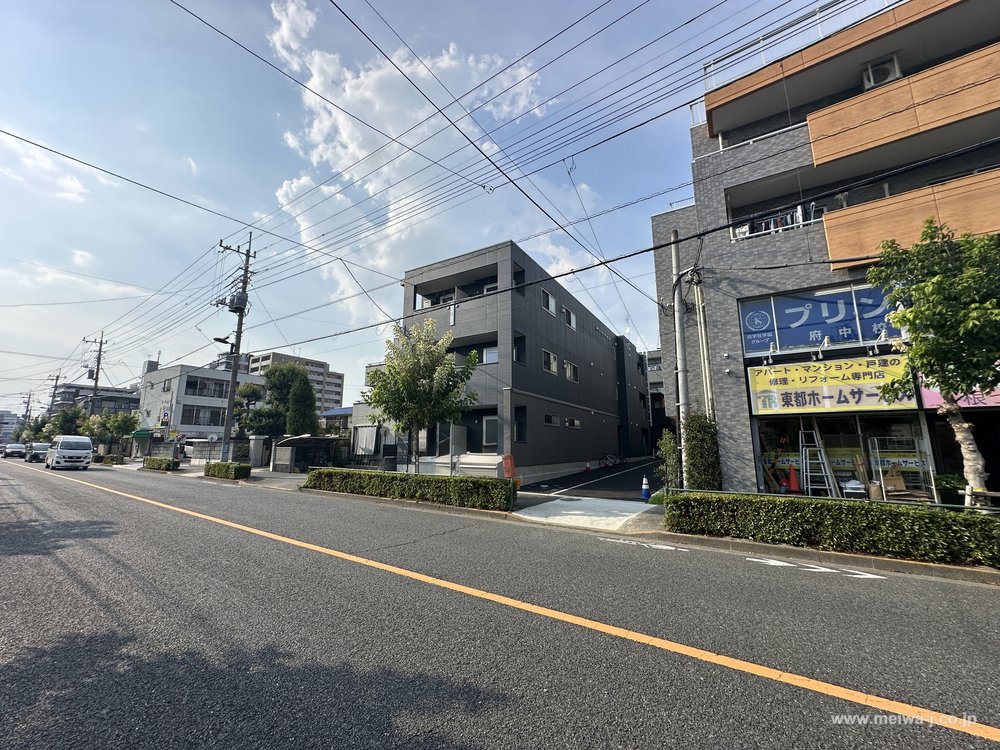 グリシーヌの写真4