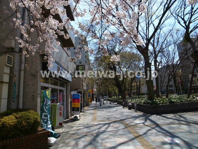 コーポ長谷川の写真4