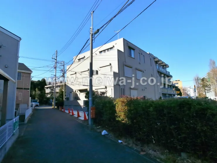 レヴァンフランセ（T1-2950）の写真4