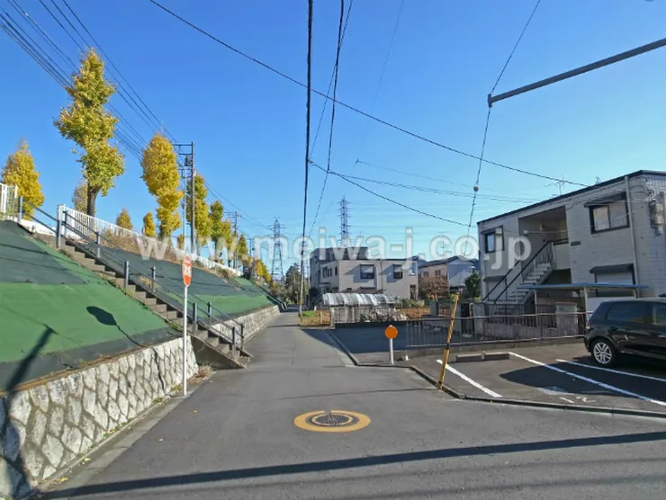 マーロンシライトの写真5