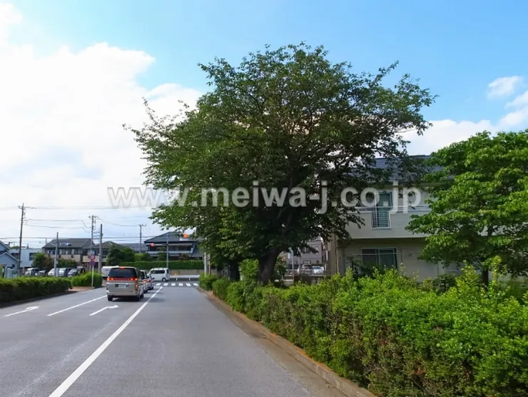 メープルハイツ(朝日町3)の写真5
