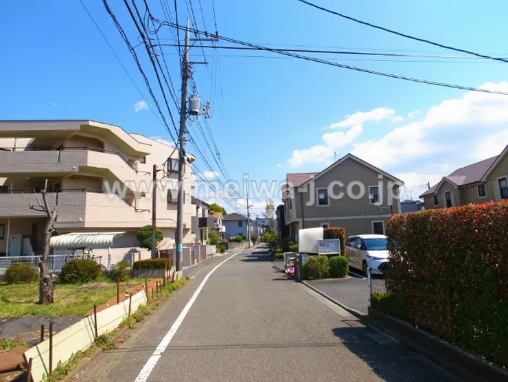 エムシライトAの写真5