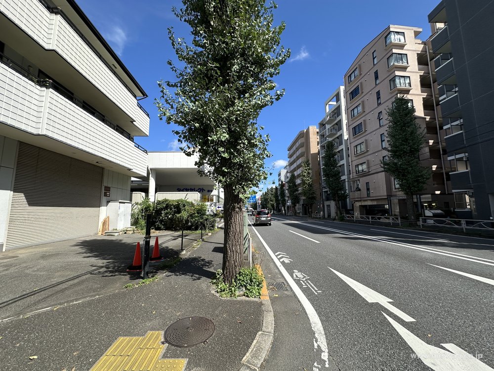 大河住宅の写真5
