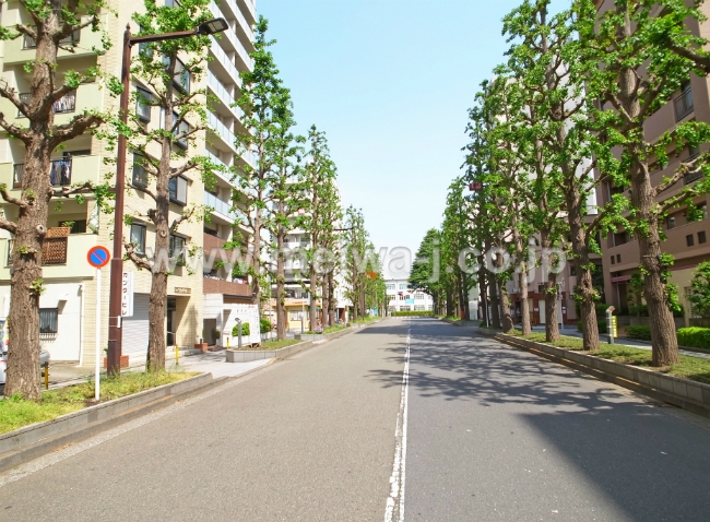 パークアベニュー東府中写真