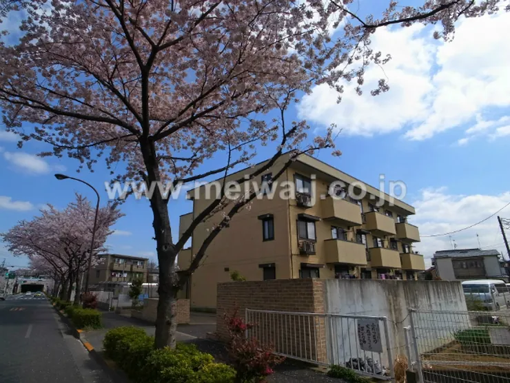 プリマベーラ(是政1)の写真2