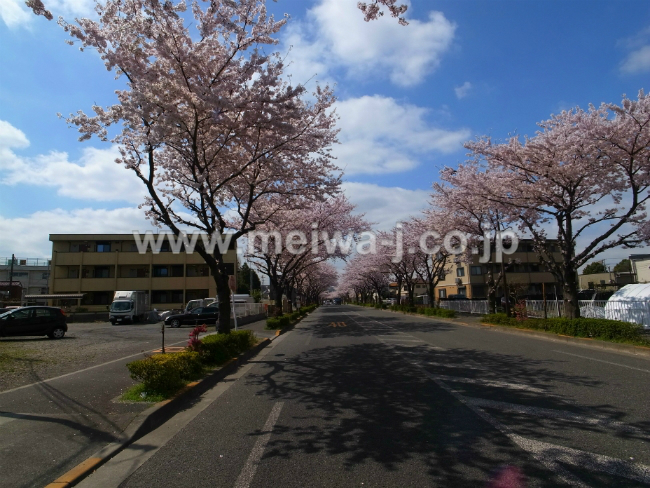 プリマベーラ(是政1)現地