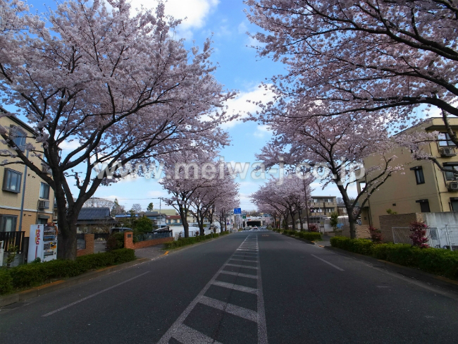 プリマベーラ(是政1)写真
