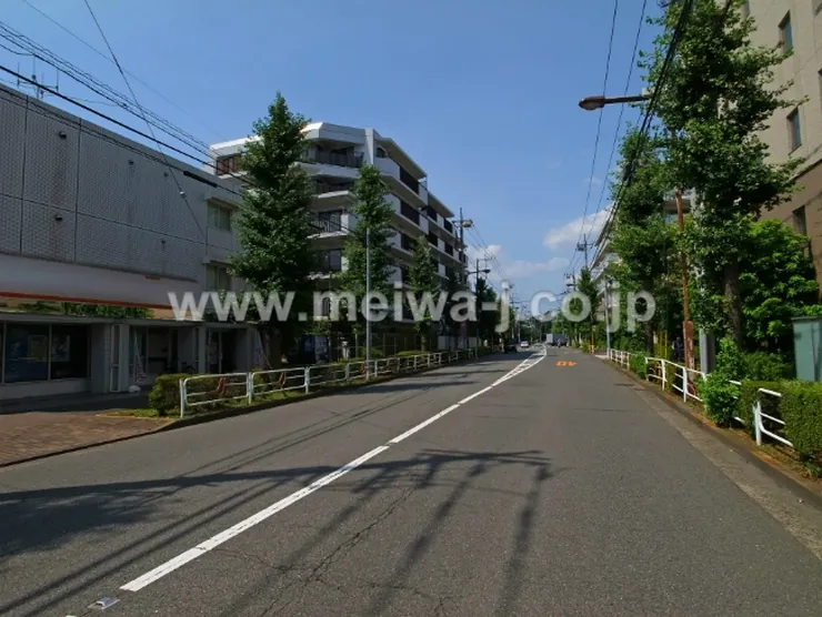 ラーファイナ（T2-5439）の写真5
